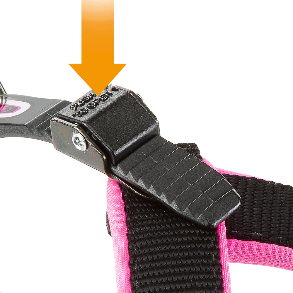 AGILA FLUO 1-9 - Image 6