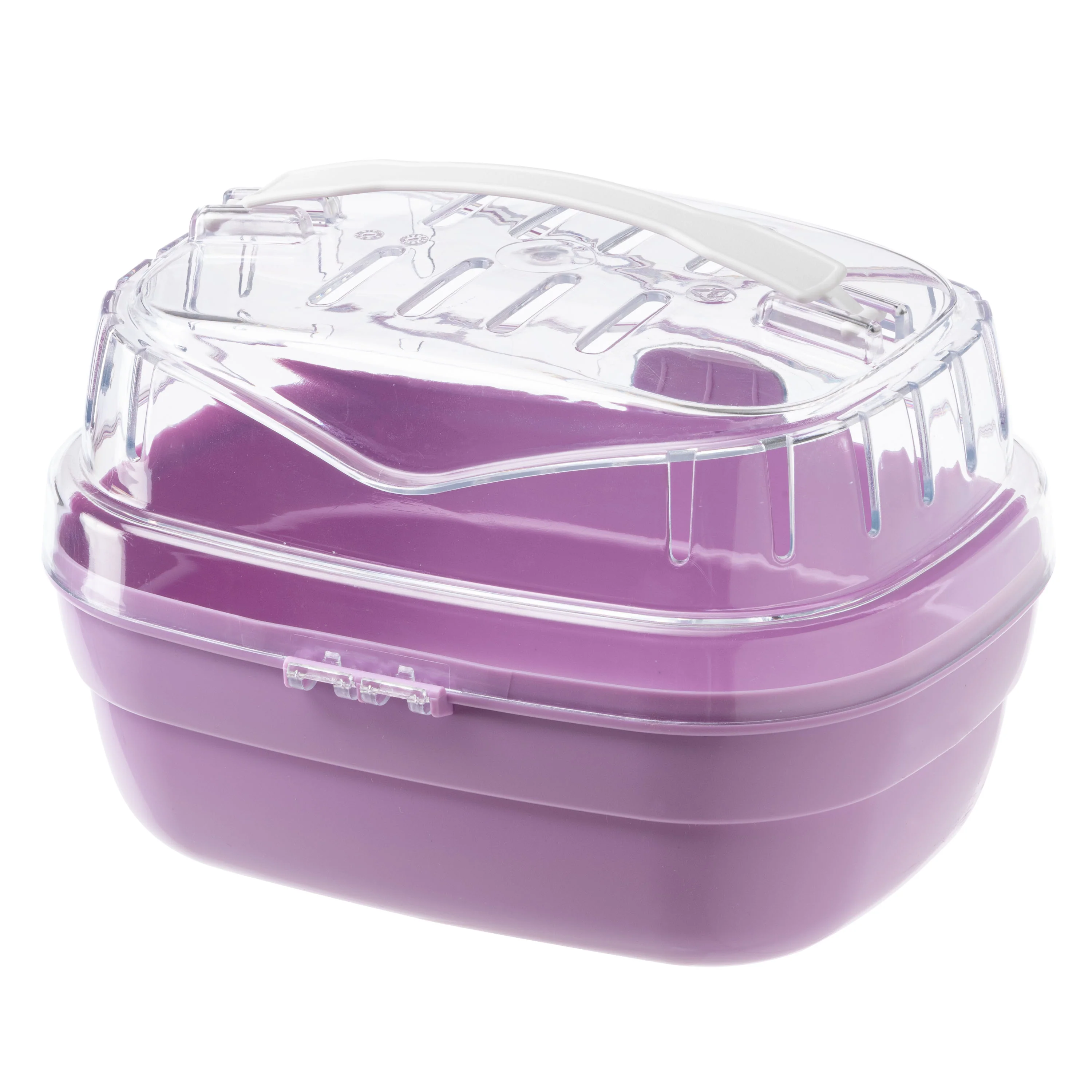 ALADINO SMALL - Image 6