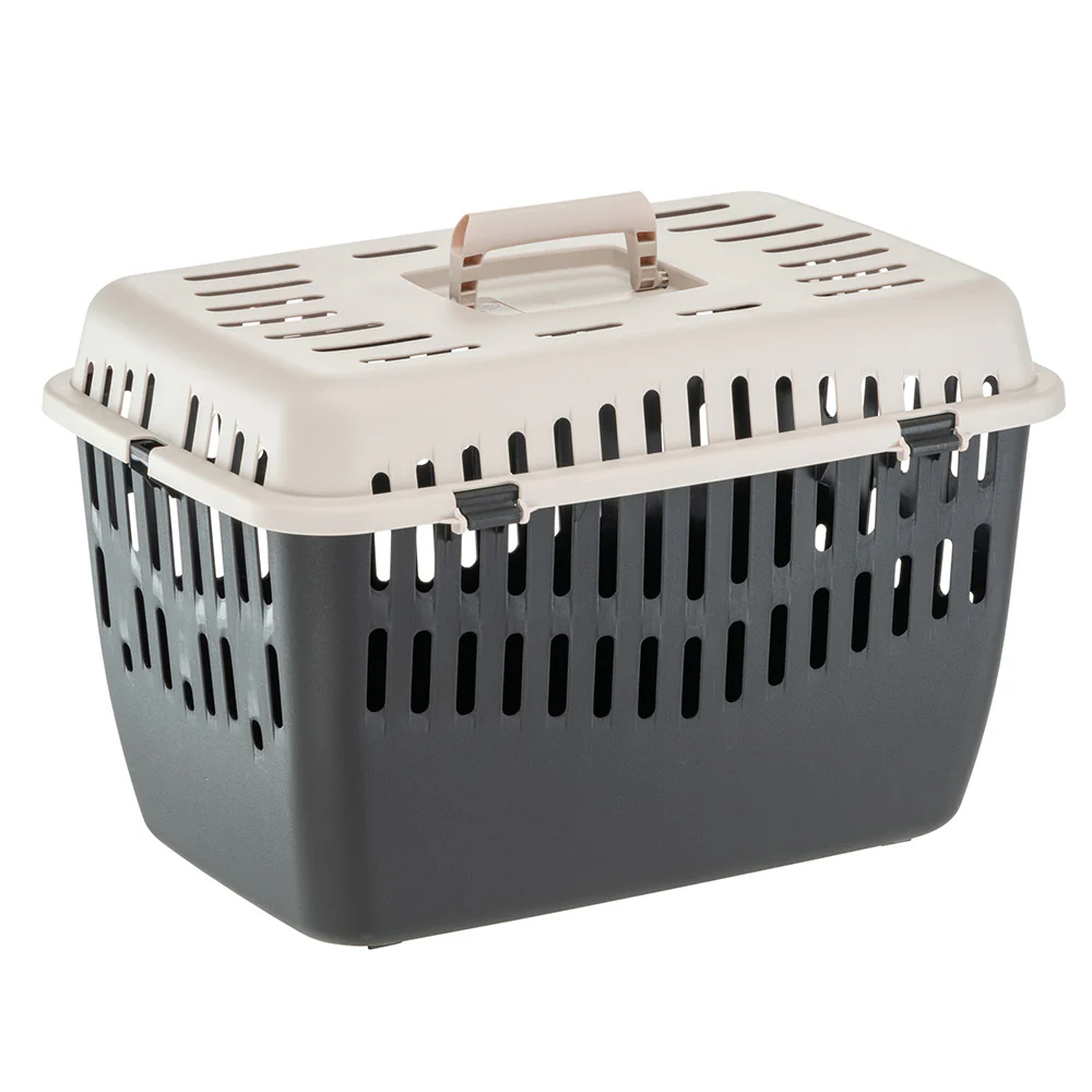 BINNY 2 - Image 3