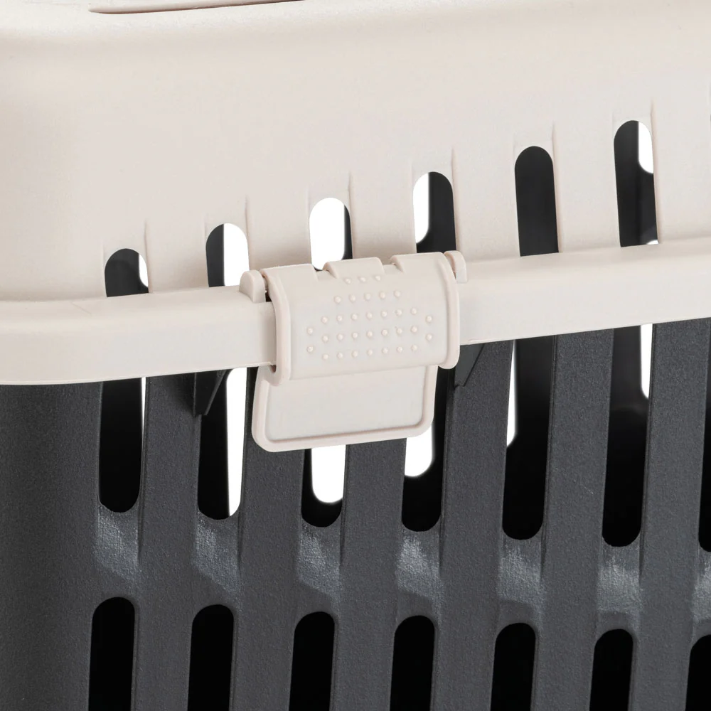 BINNY 2 - Image 5