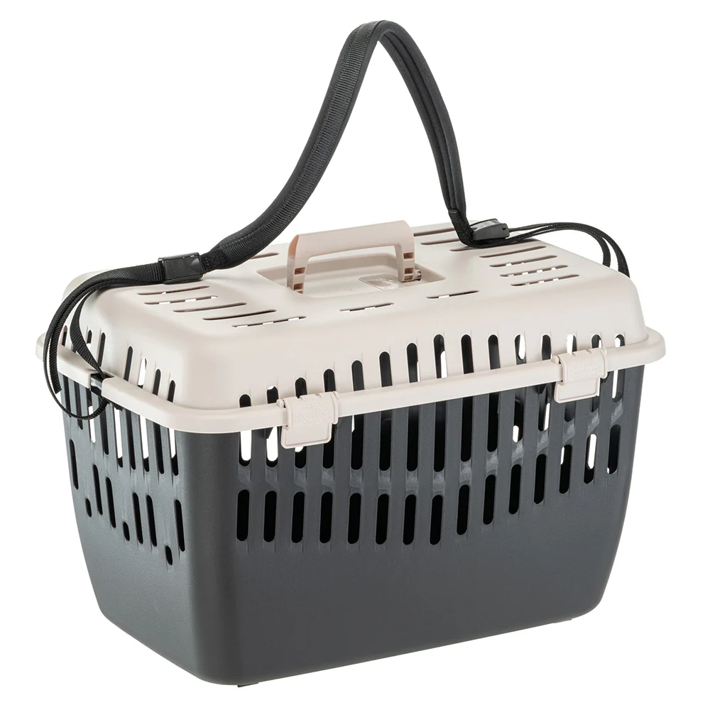 BINNY 2 - Image 7