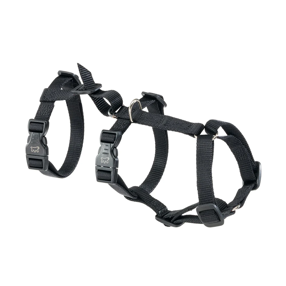 BRAVE - Image 10