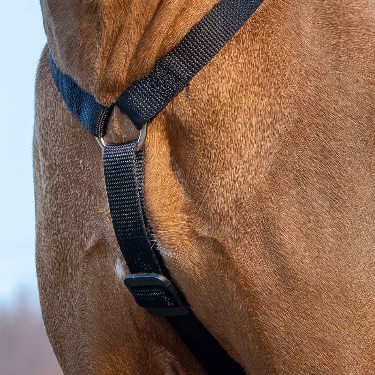 BRAVE - Image 19