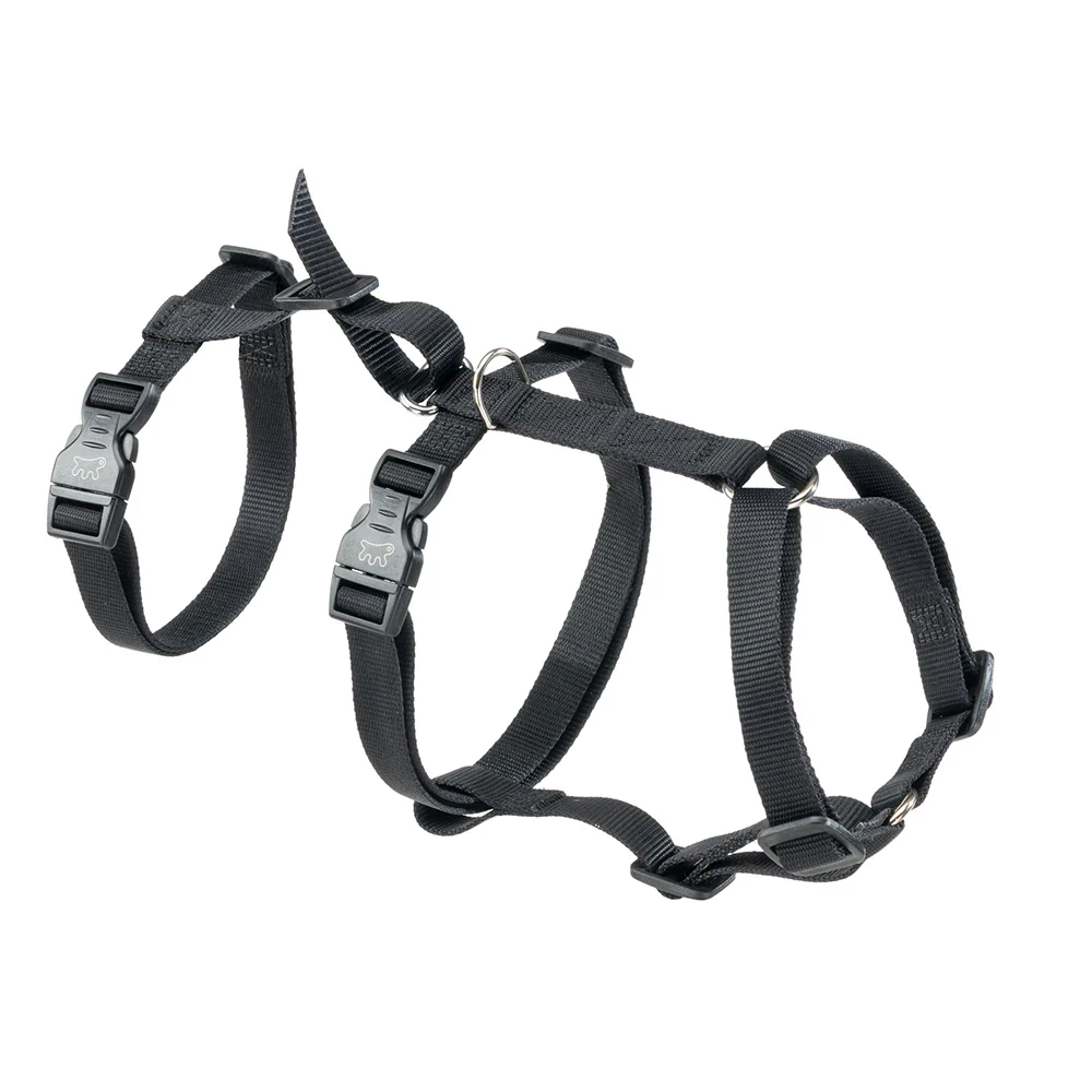 BRAVE - Image 21