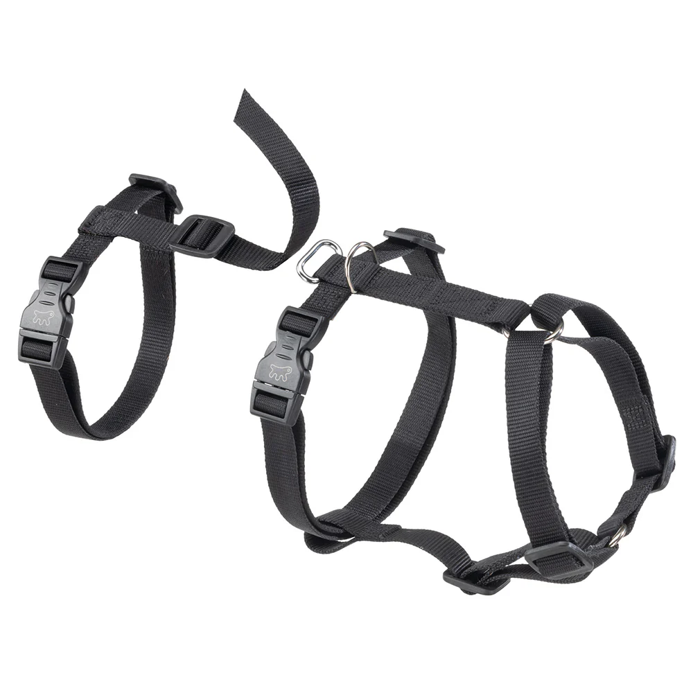 BRAVE - Image 22