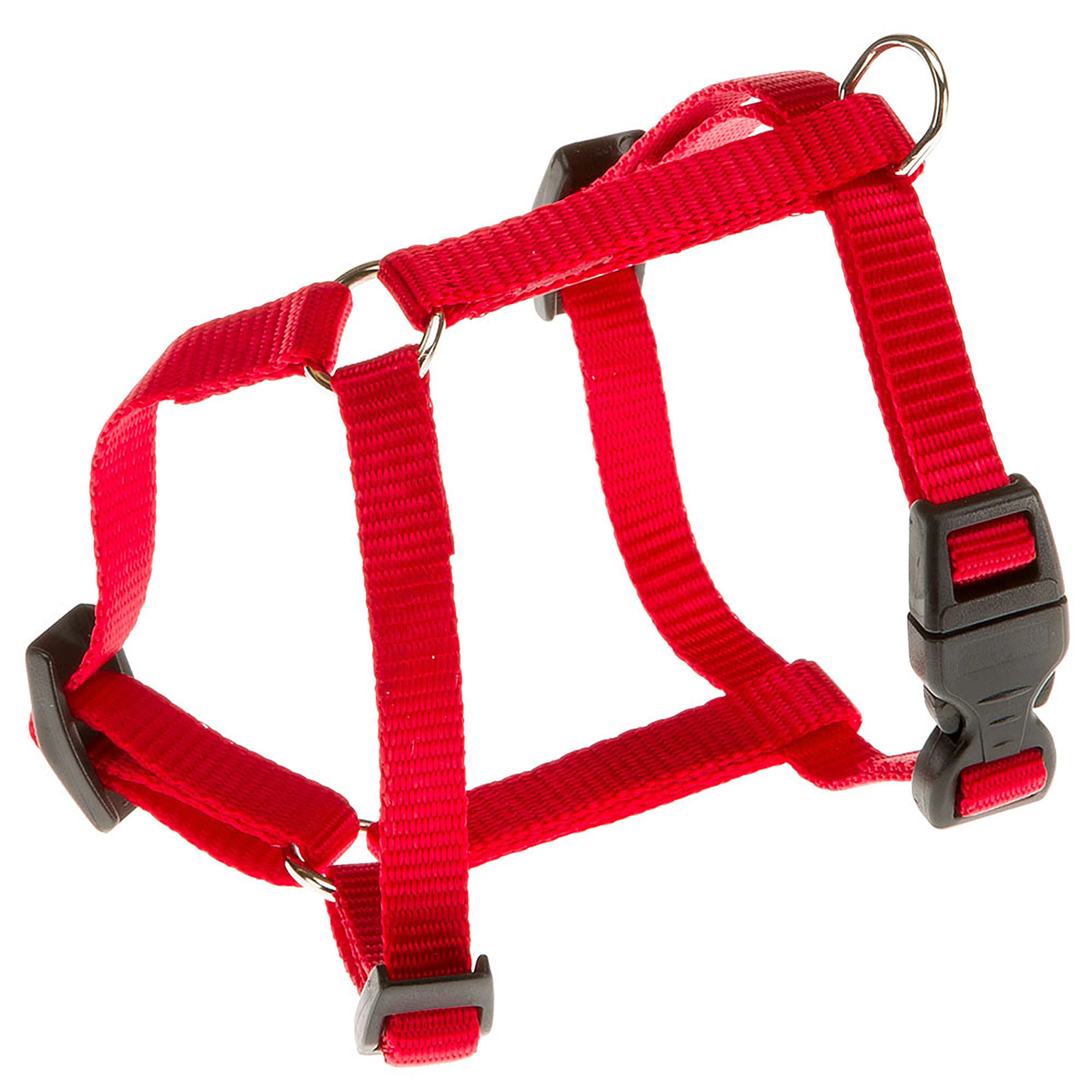 CHAMPION P - Image 19