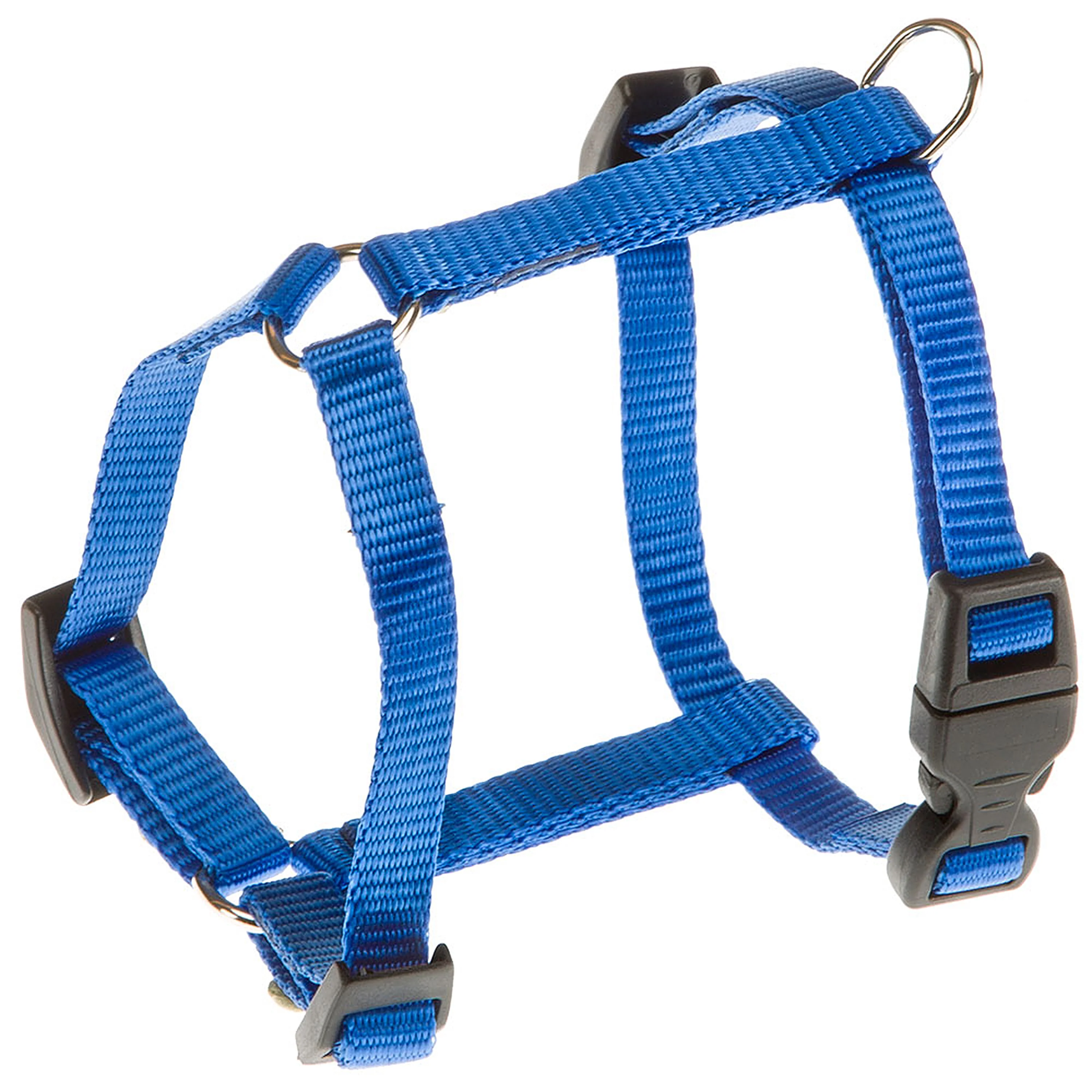 CHAMPION P - Image 20
