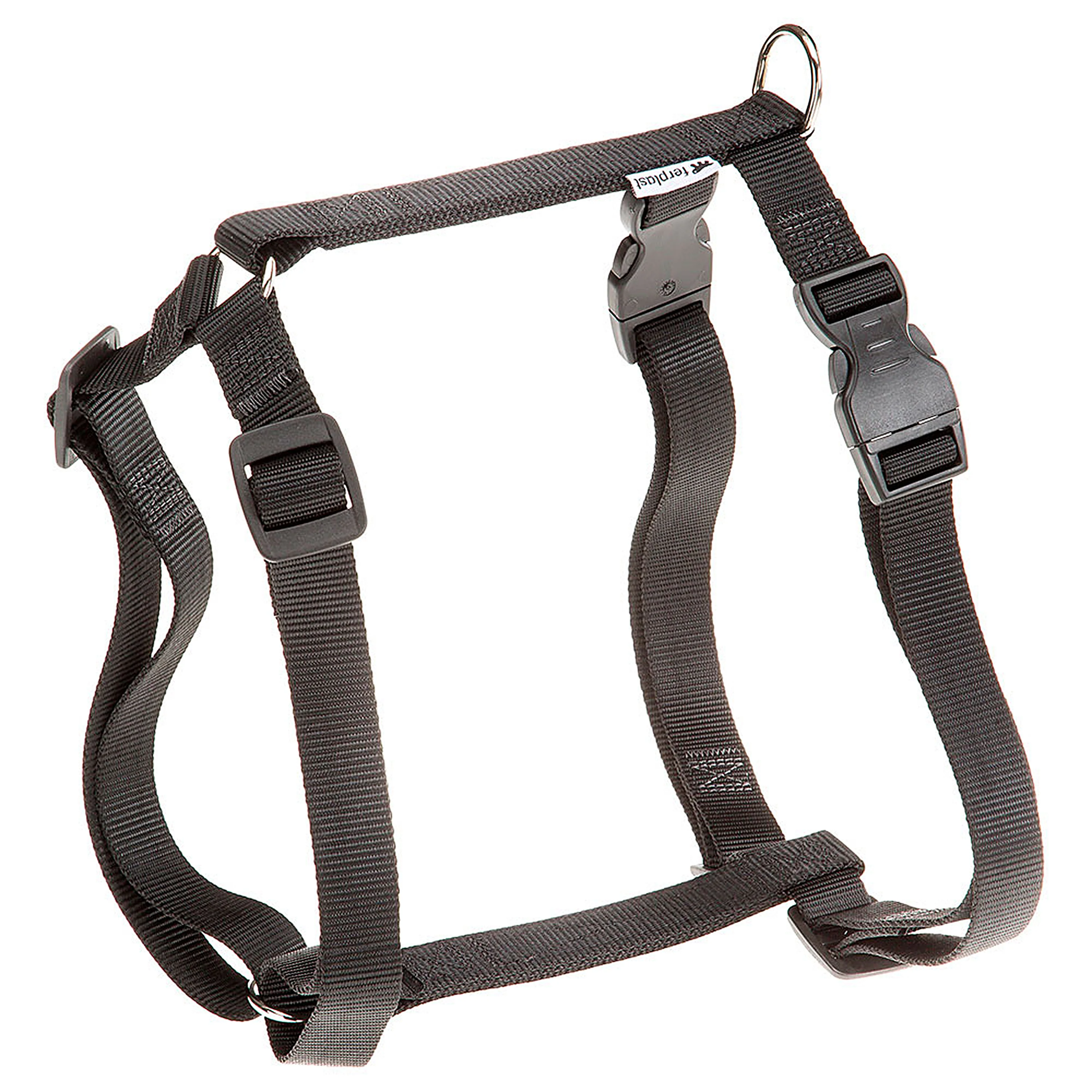 CHAMPION P - Image 6