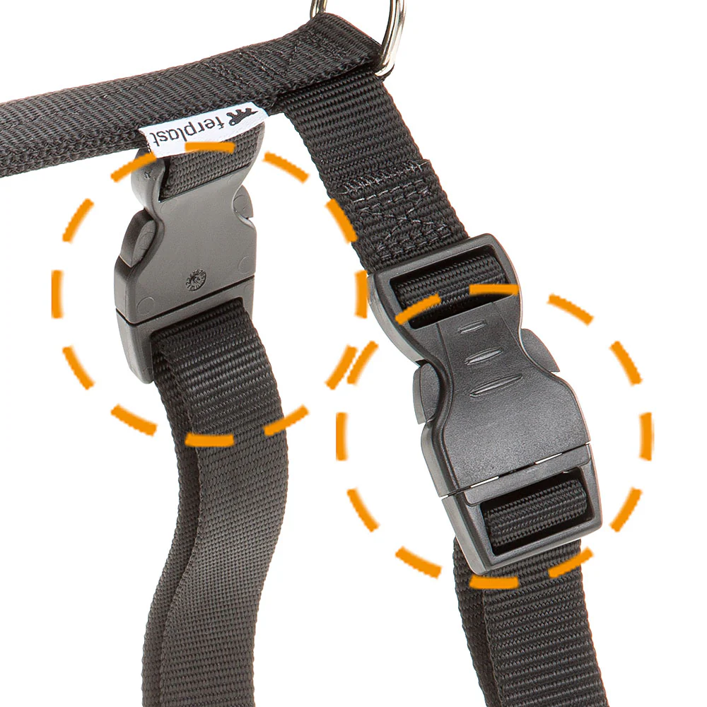 CHAMPION P - Image 7