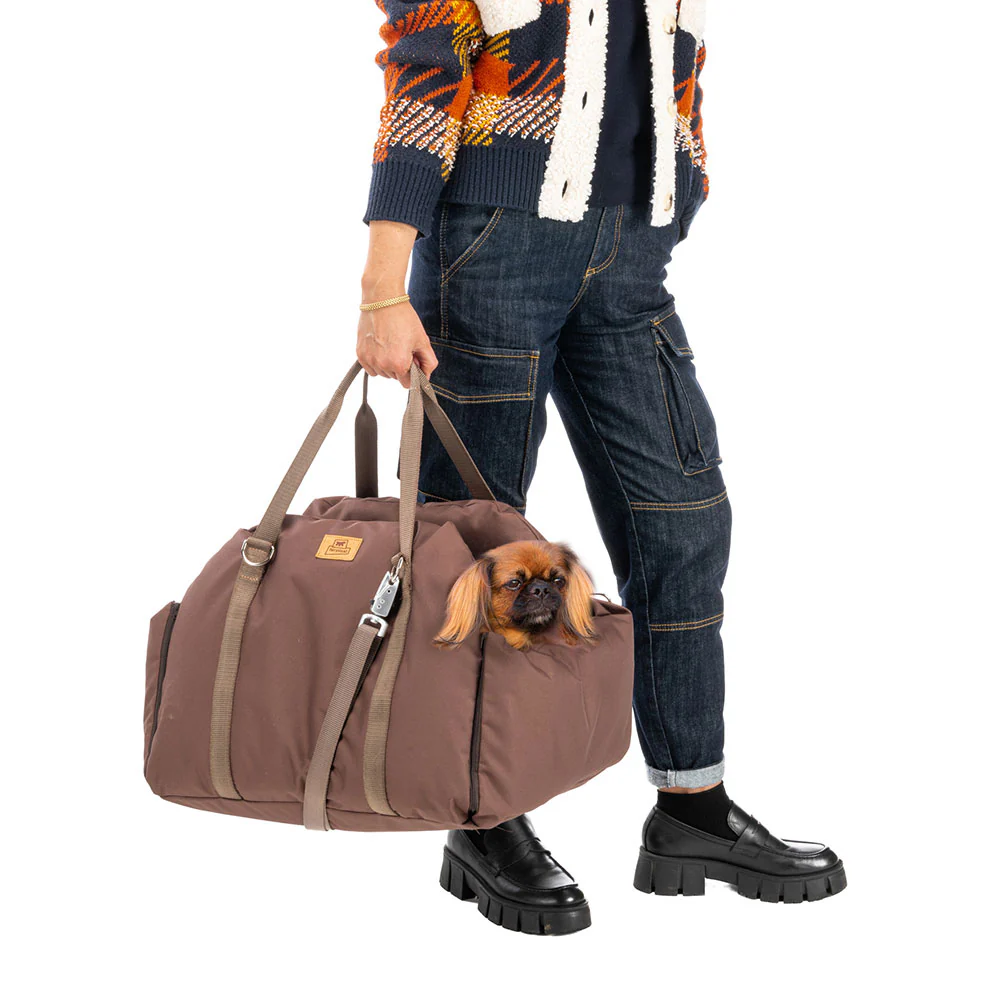 CRUISER - Image 4