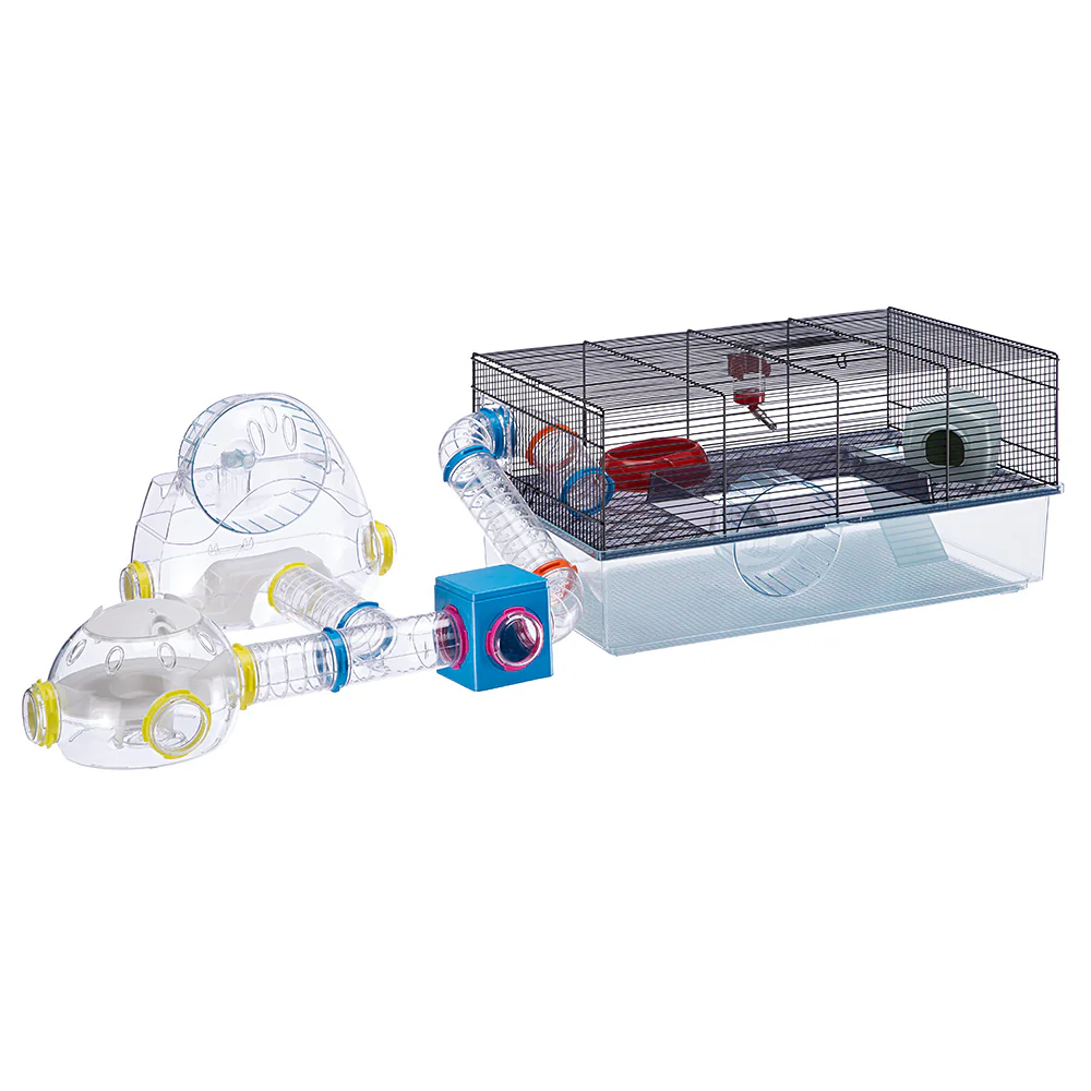 CUBE - Image 5