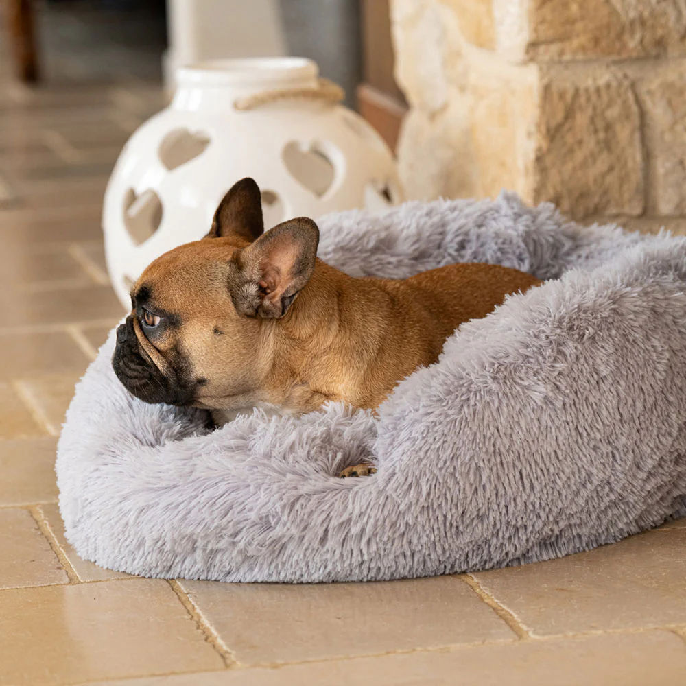 CUDDLY - Image 4