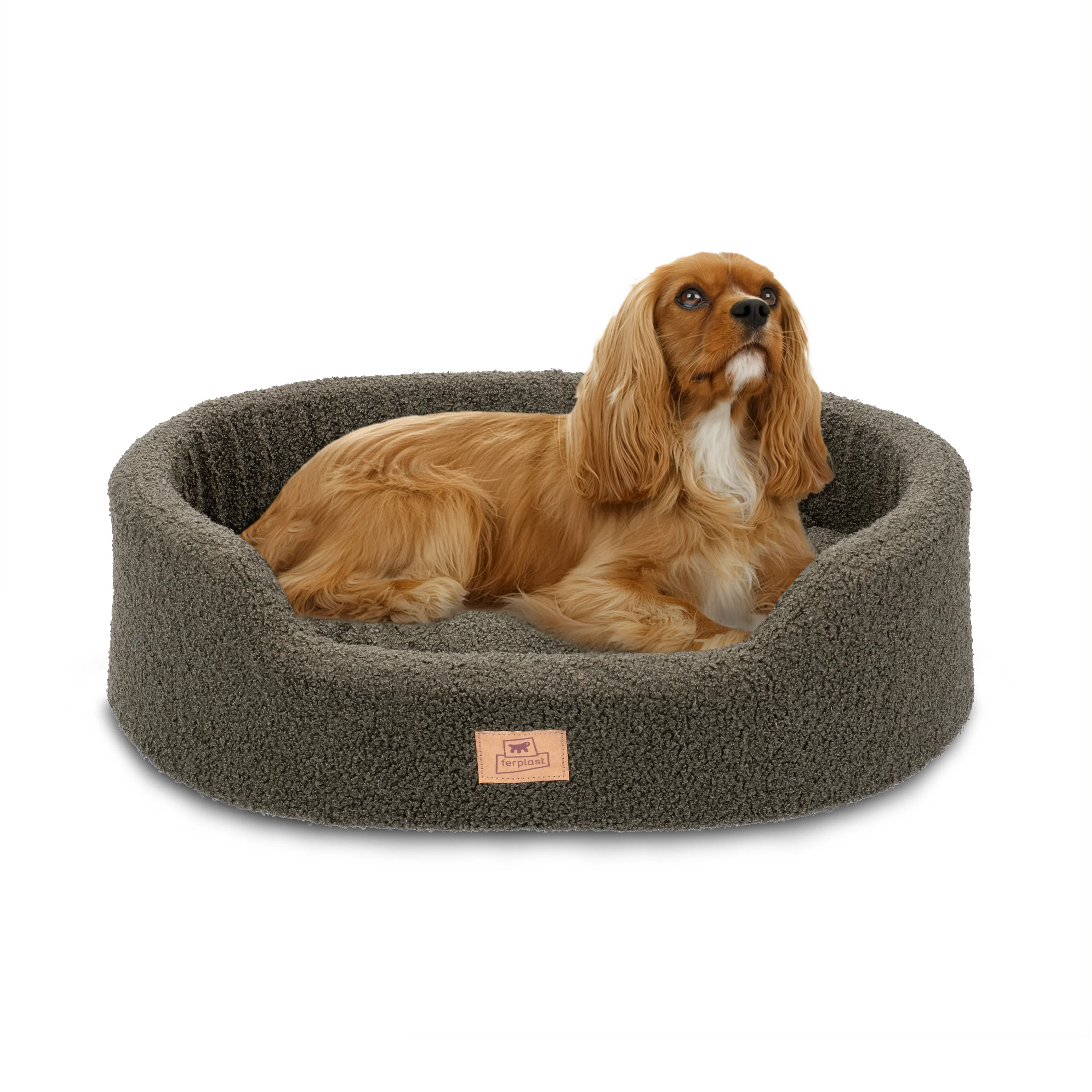 DANDY BOUCLE' - Image 18