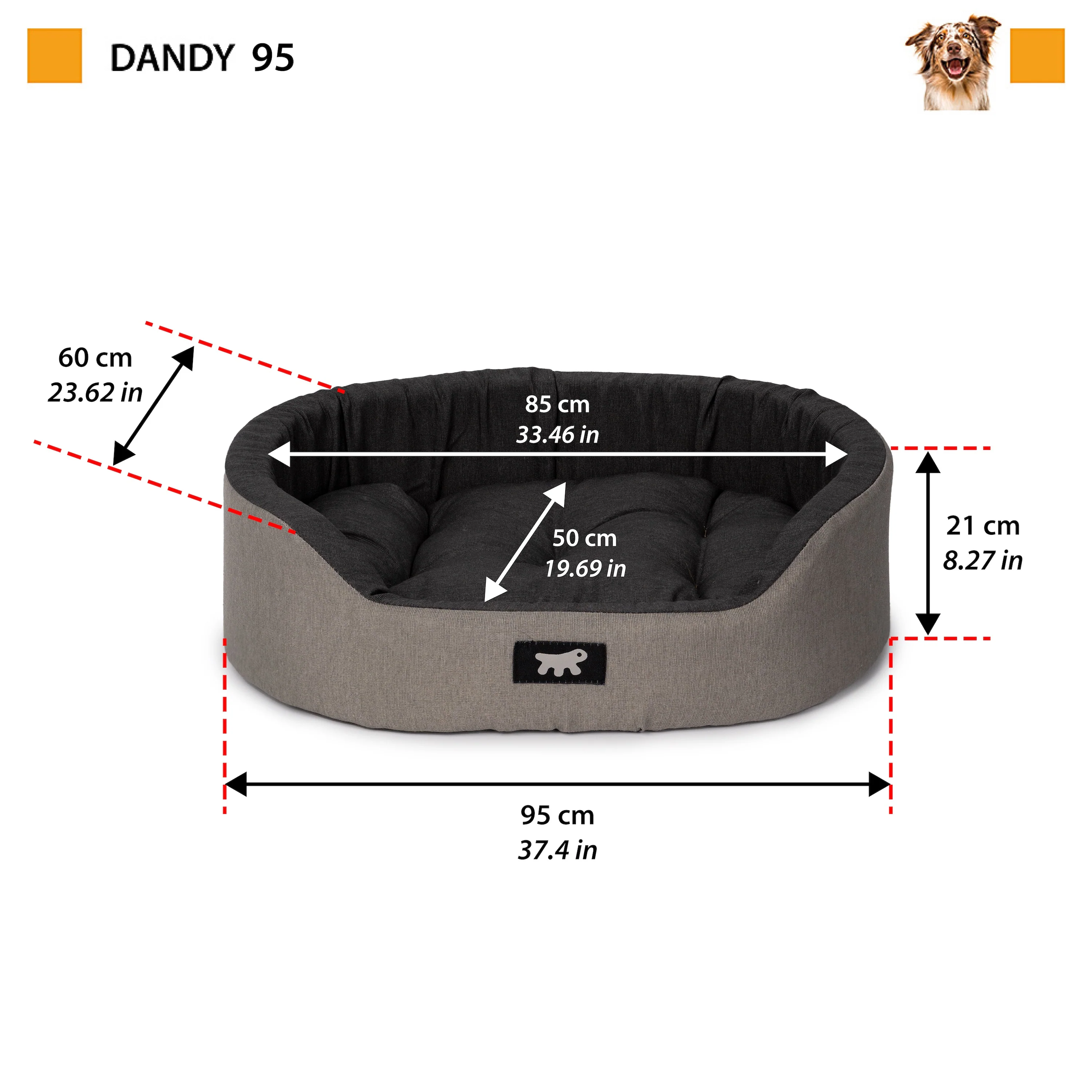 DANDY C COLOUR - Image 40