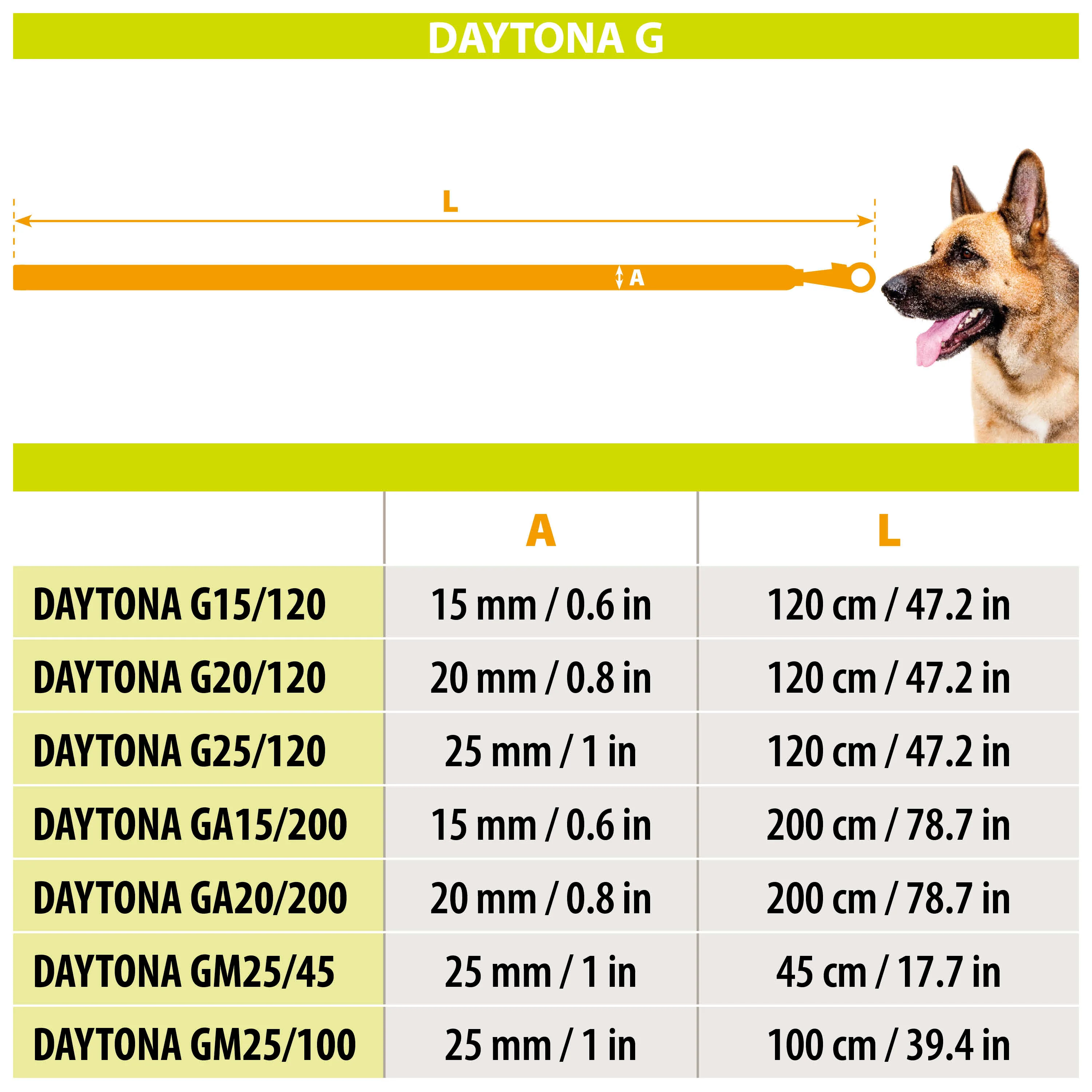 DAYTONA GA - Image 2
