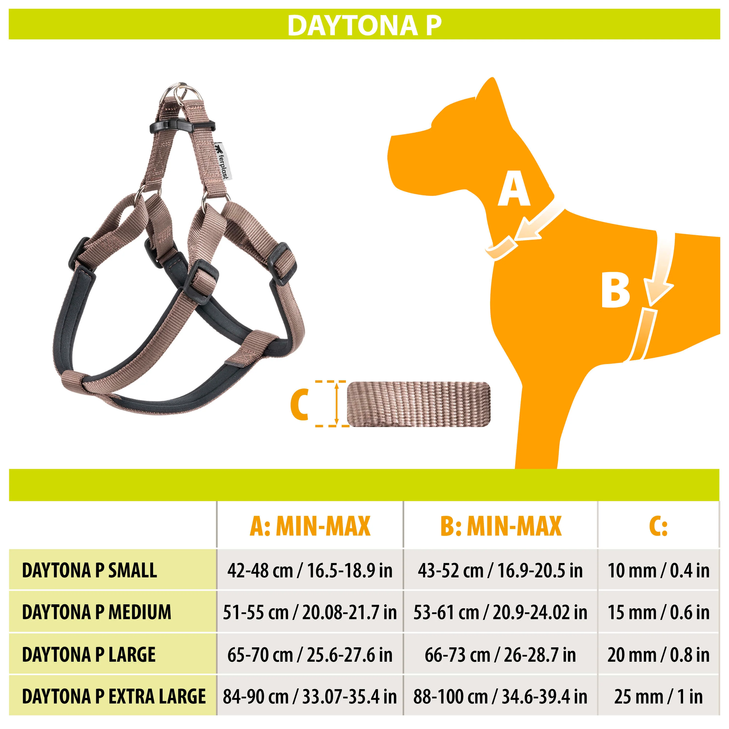 DAYTONA P - Image 7