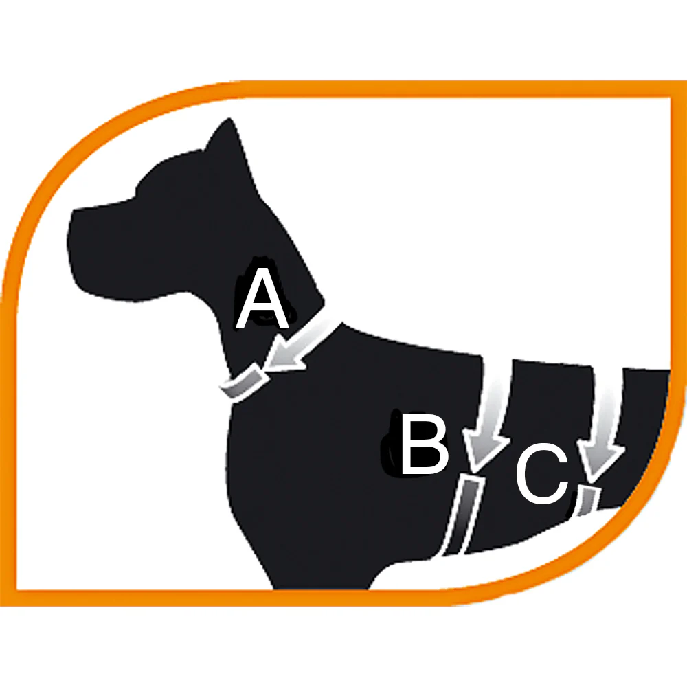DOG SCOUT - Image 5