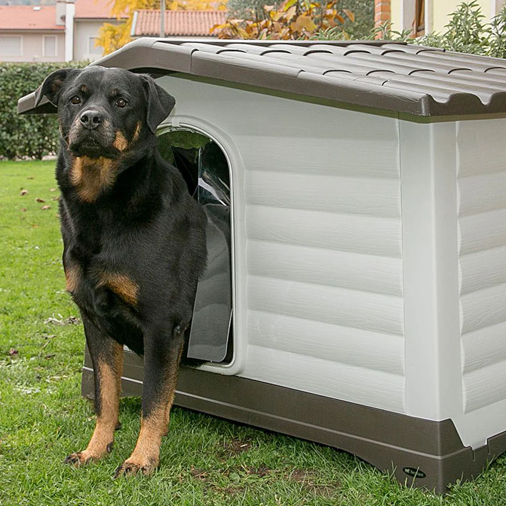 PORTA DOGVILLA - Image 3