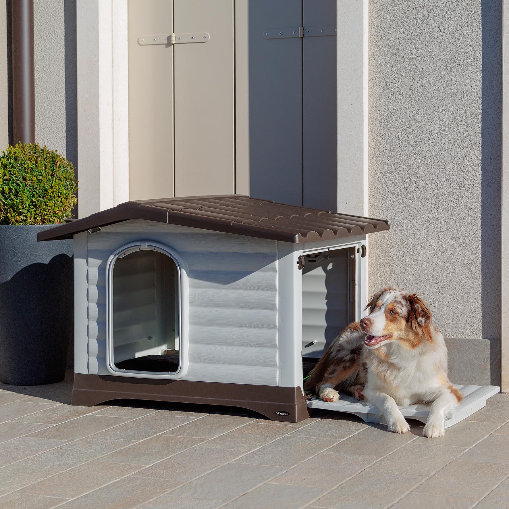 DOGVILLA - Image 18