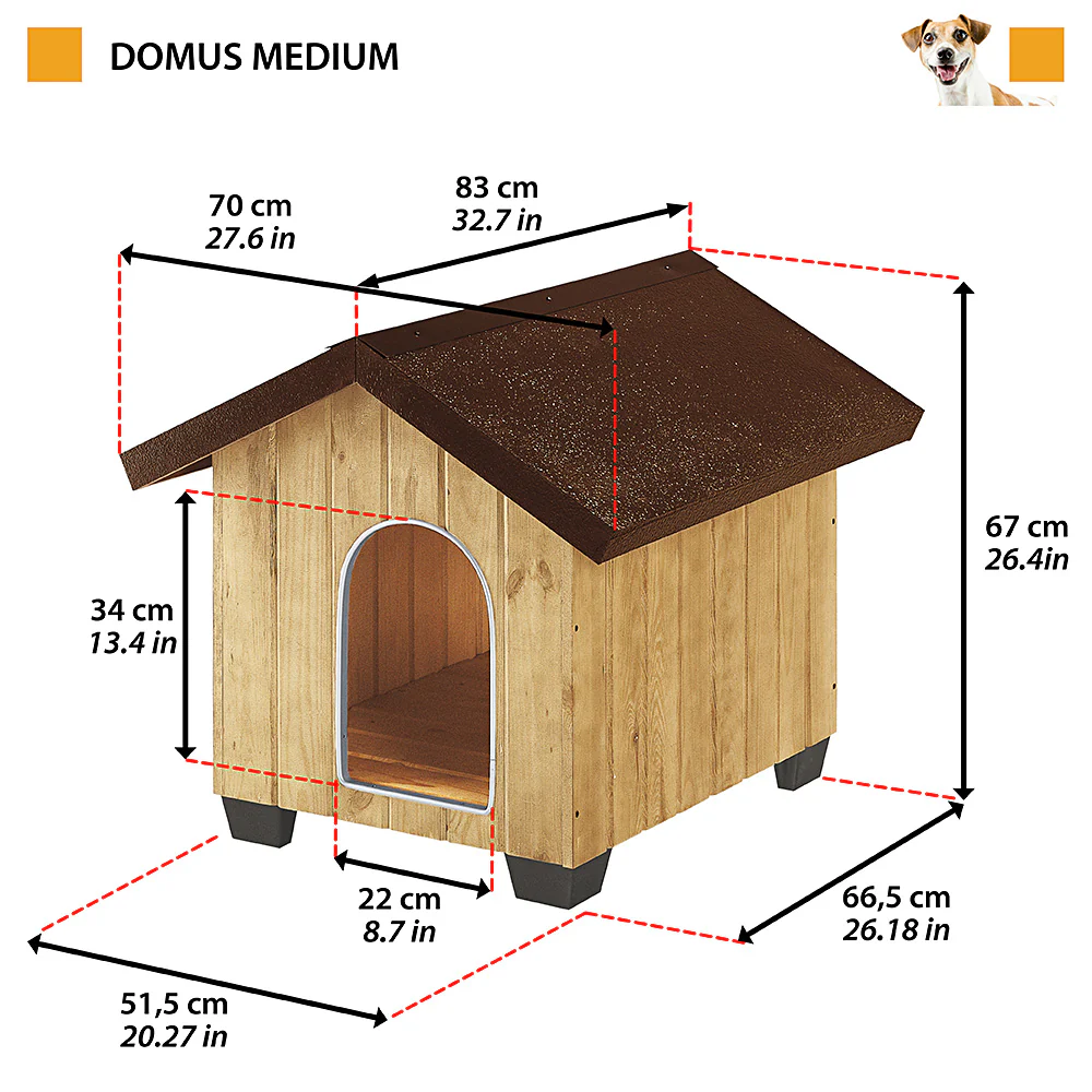 DOMUS - Image 11