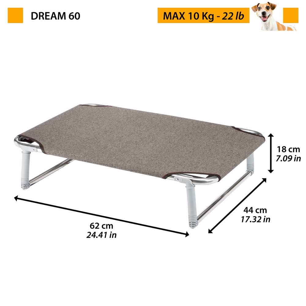 DREAM - Image 2