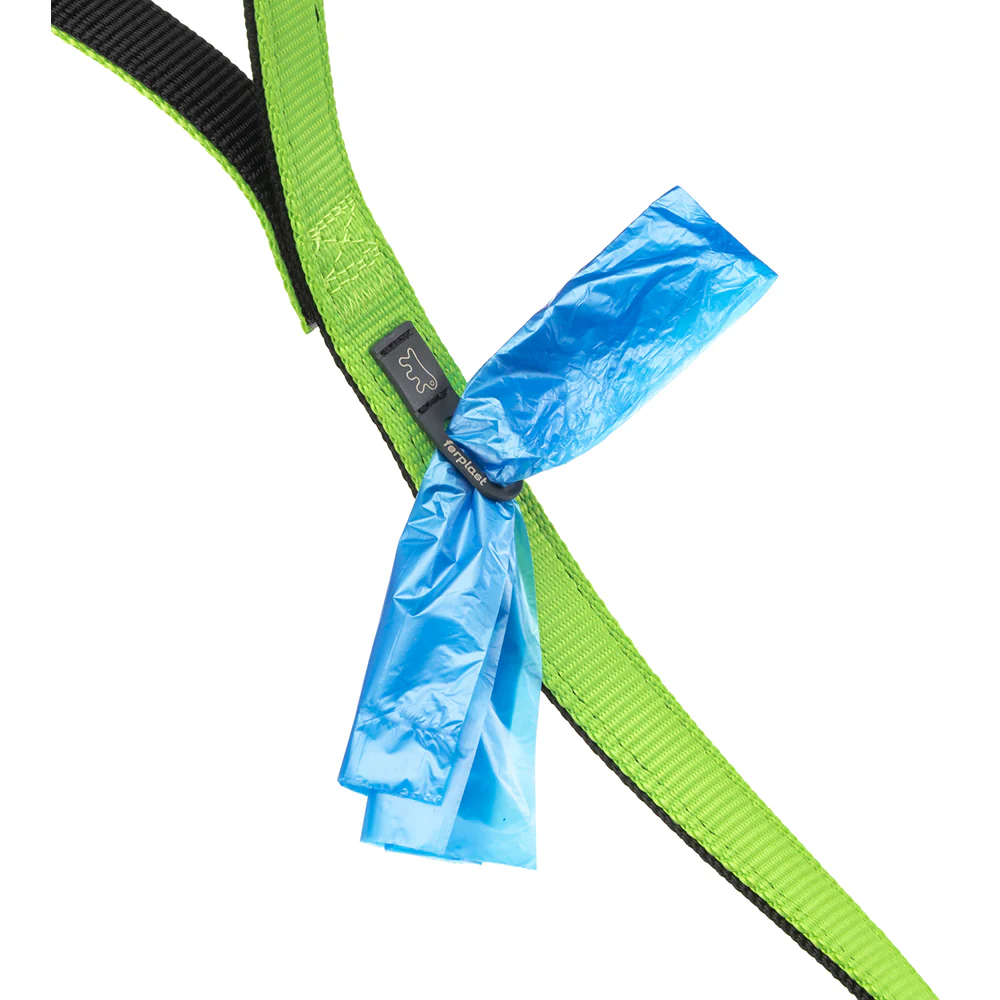 DUAL G COLOURS - Image 2