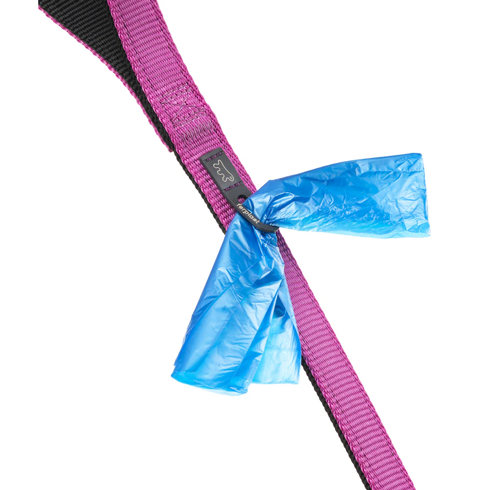 DUAL G COLOURS - Image 7