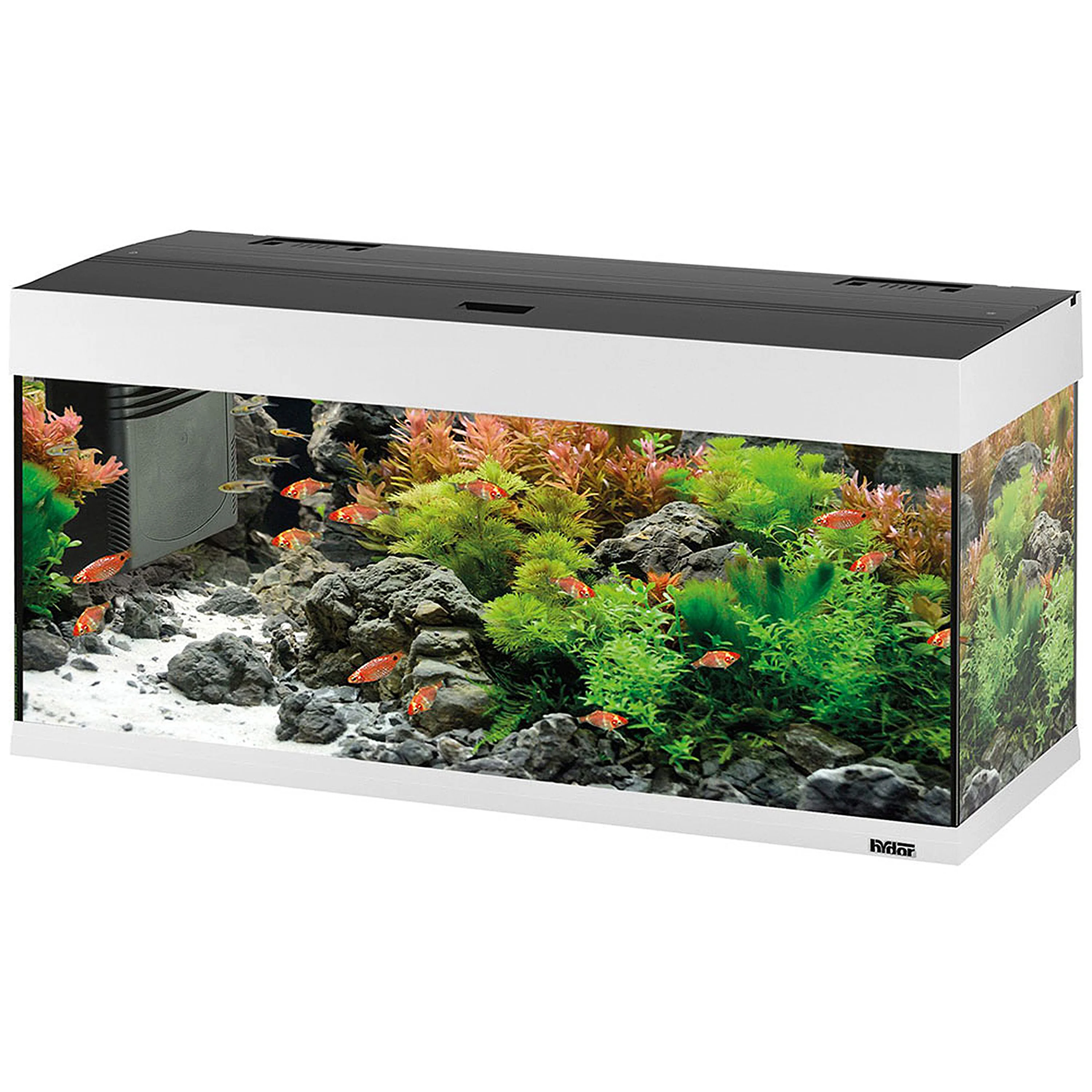 DUBAI 100 LED - 190 L - Image 12