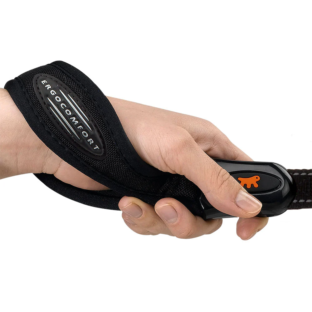 ERGOLED G - Image 2