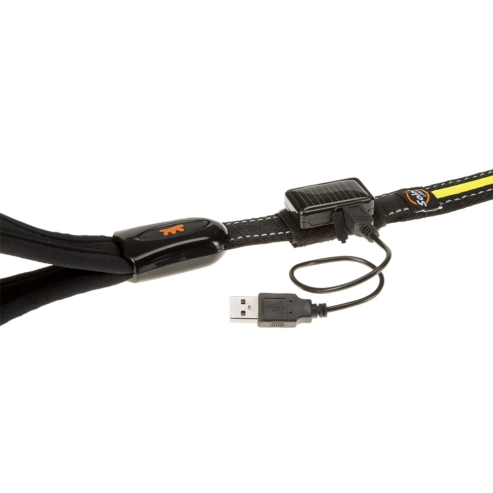 ERGOLED G - Image 3