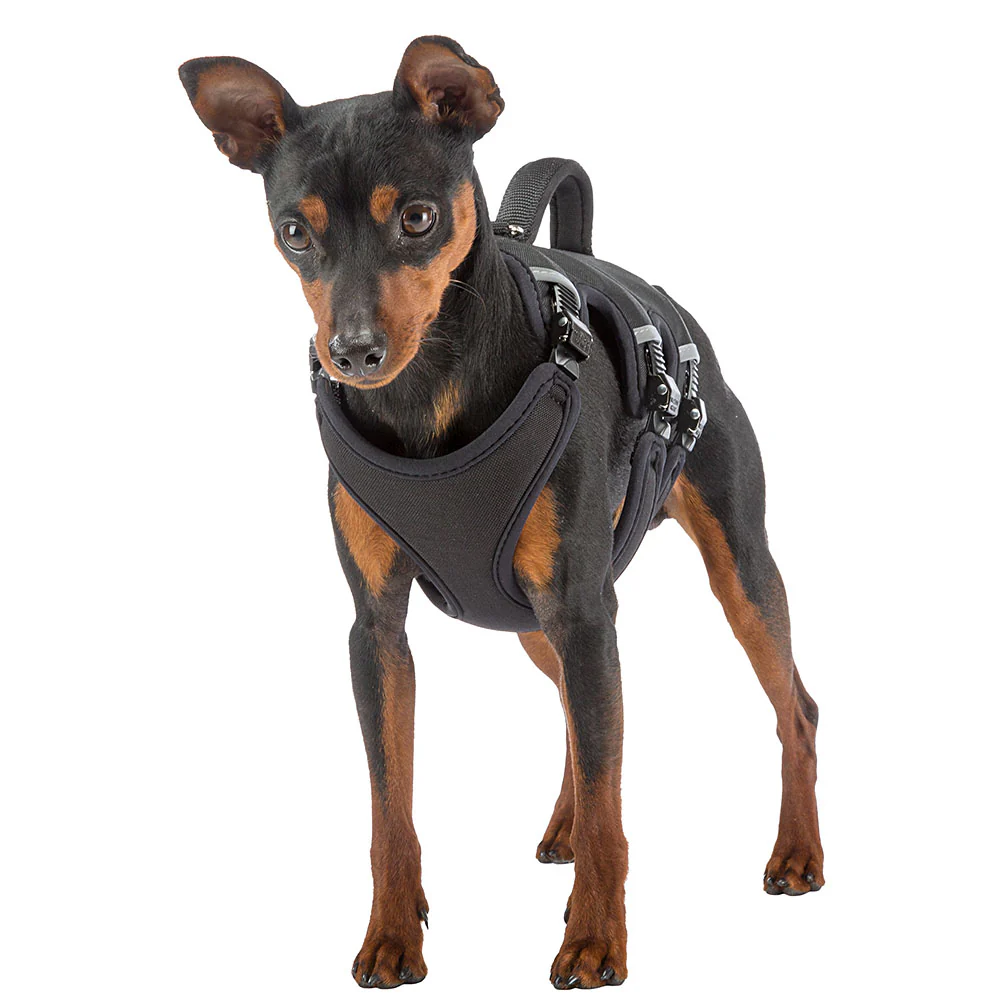 ERGOTREKKING - Image 11