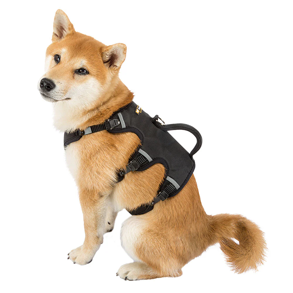 ERGOTREKKING - Image 22