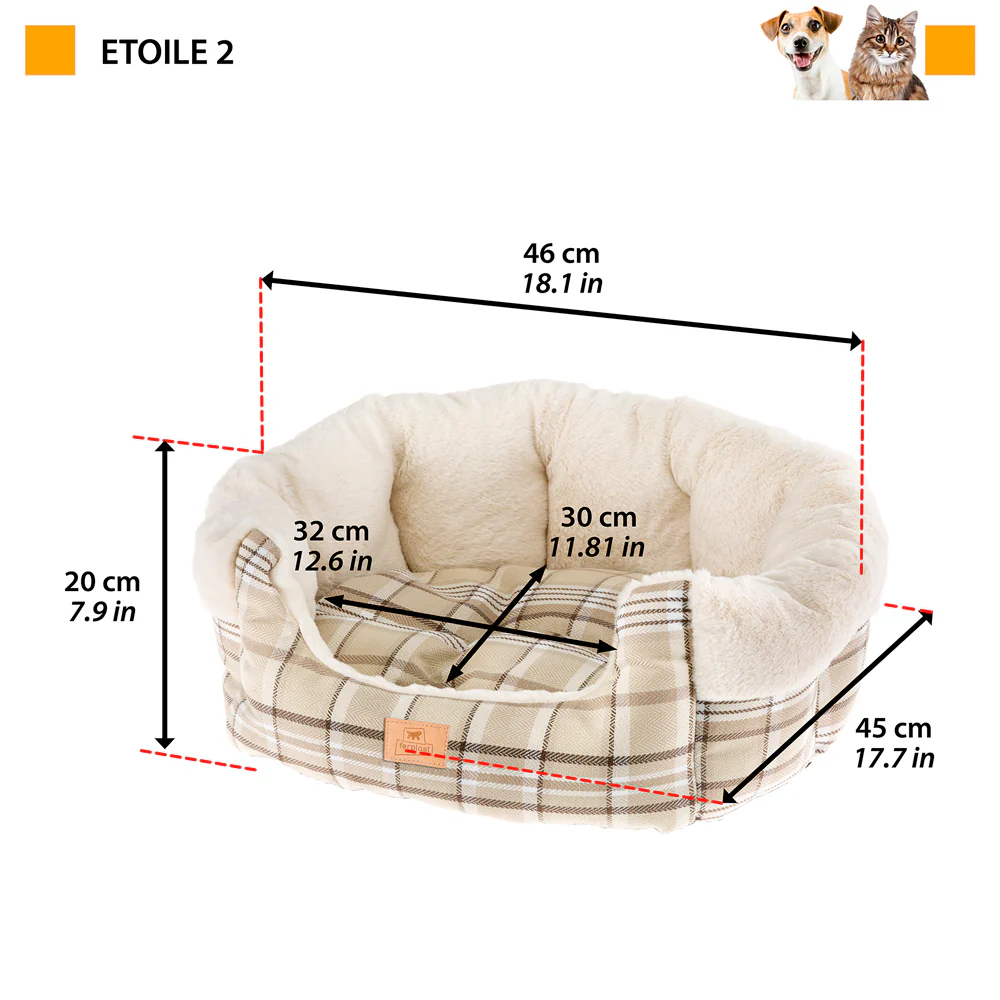 ETOILE - Image 2
