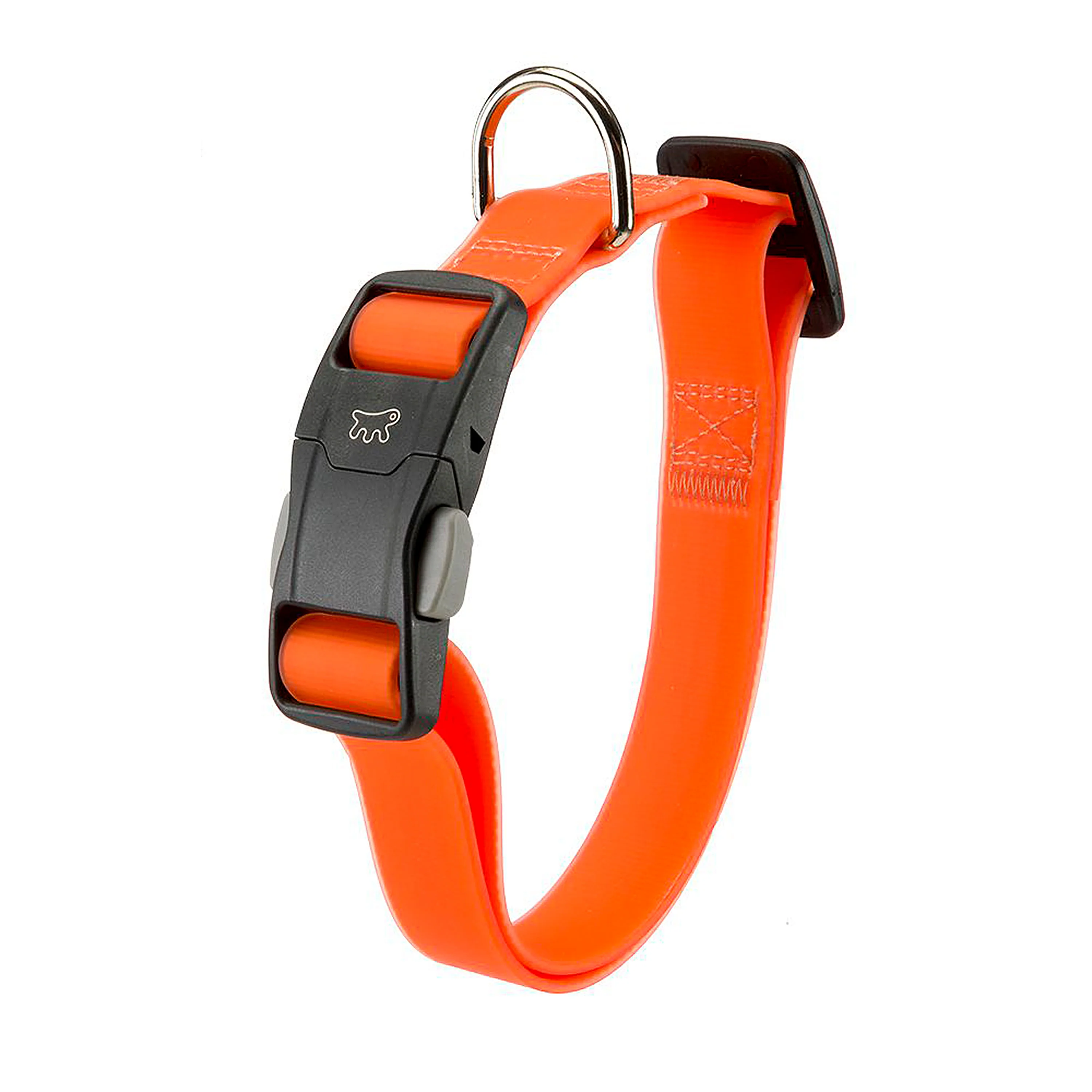 EVOLUTION C - Image 11
