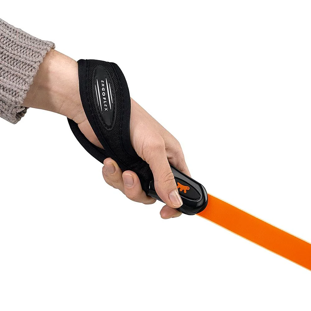 EVOLUTION GM - Image 10