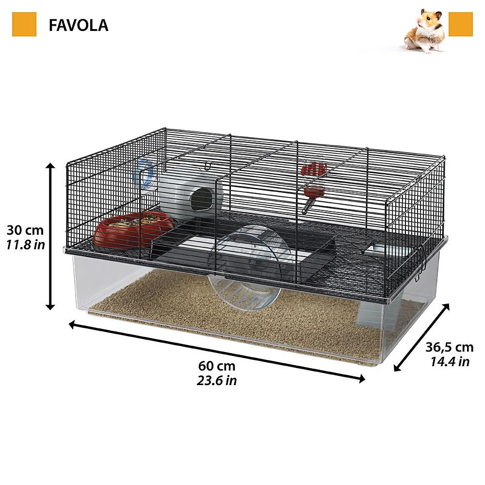 FAVOLA - Image 2