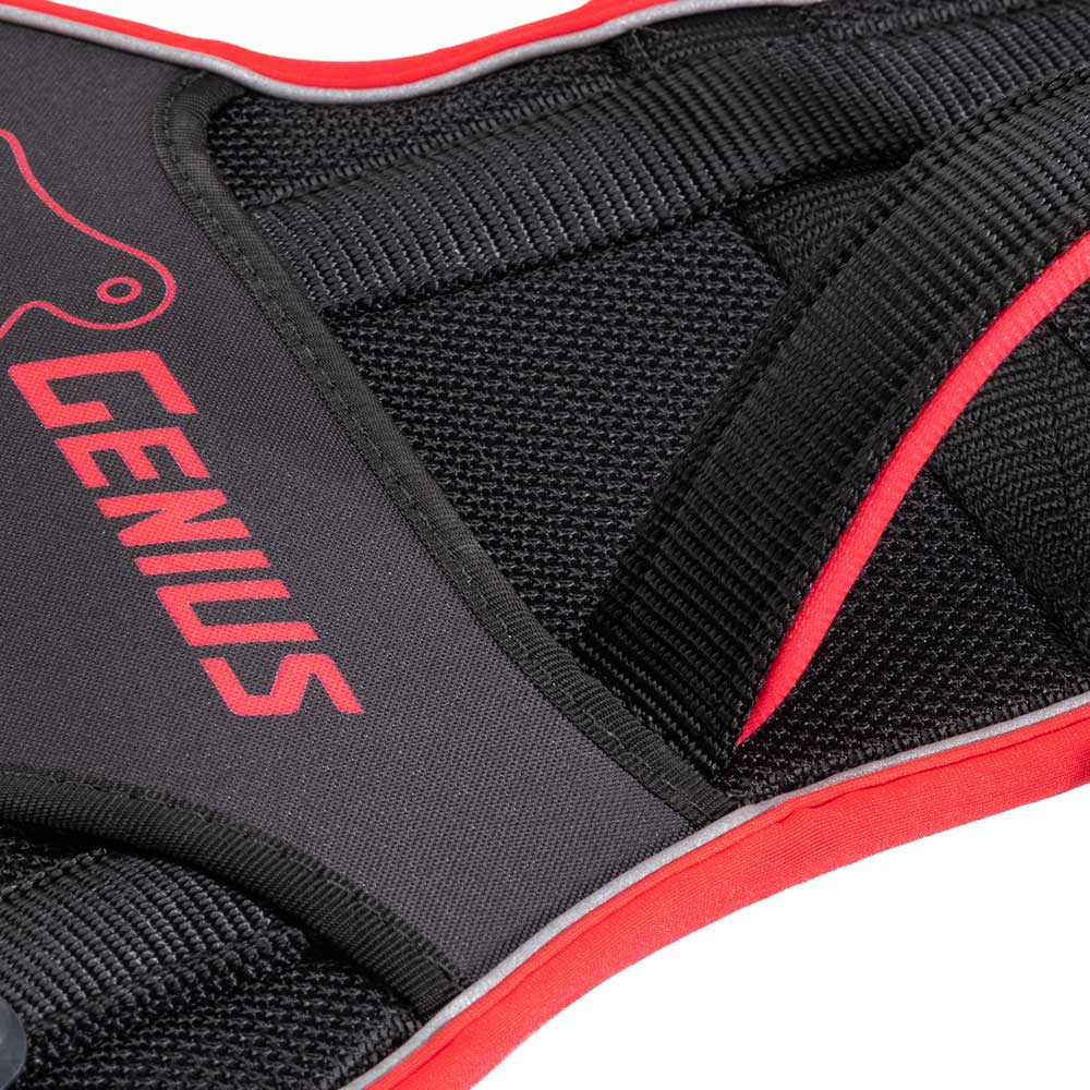 GENIUS P - Image 15