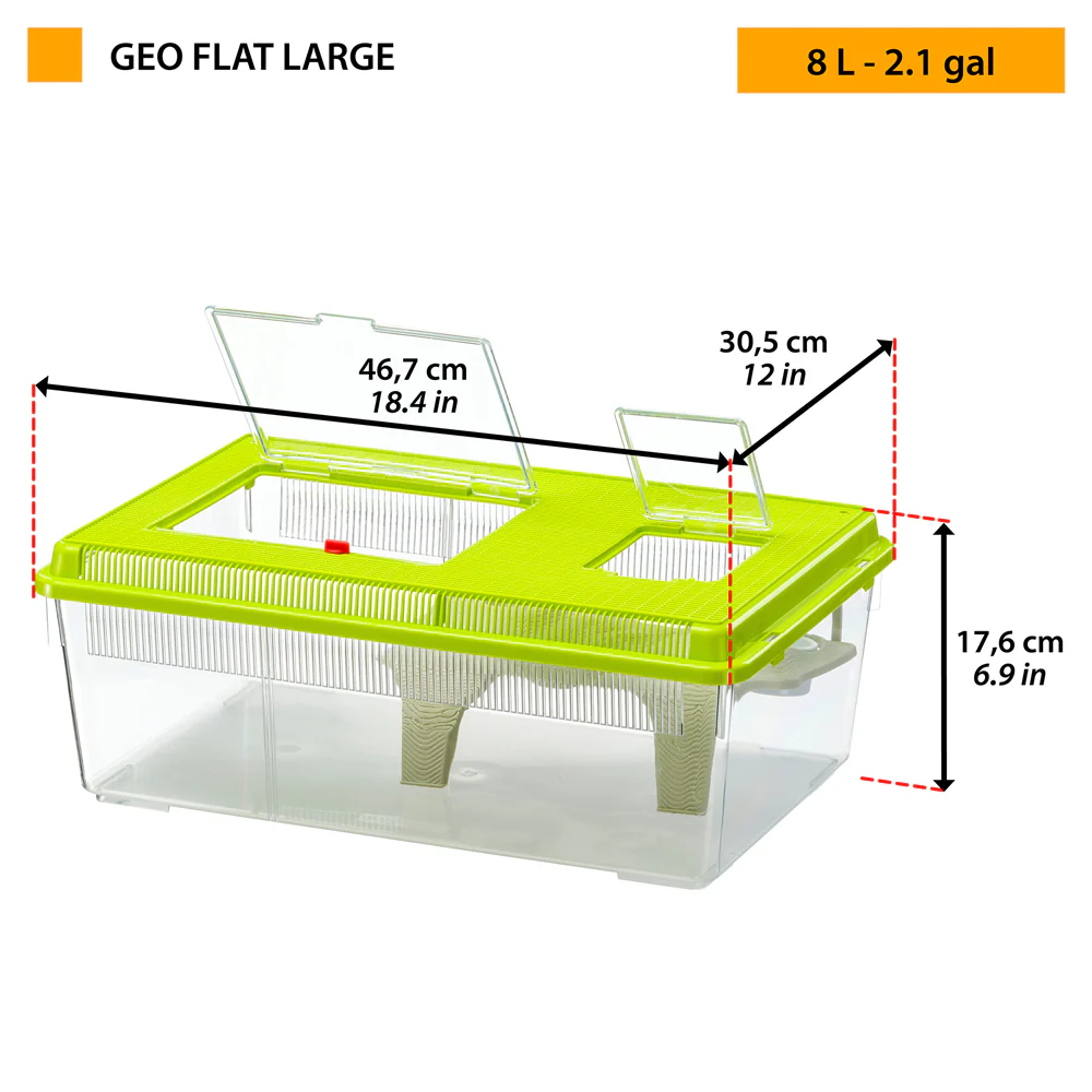 GEO FLAT LARGE - Image 2
