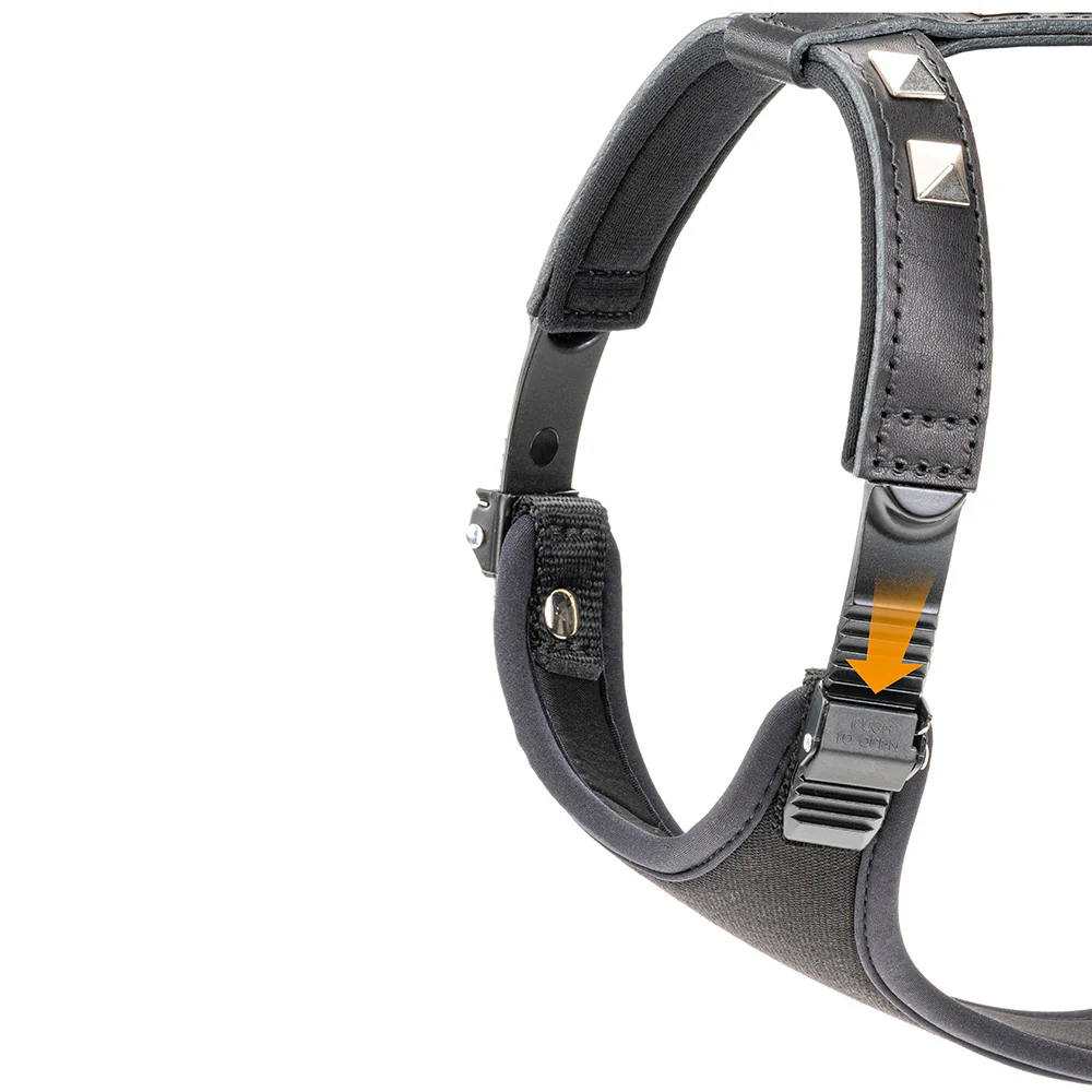GIOTTO LUXOR BLACK P - Image 3