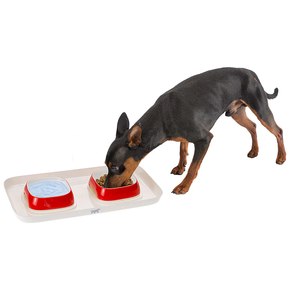 GLAM TRAY - Image 2