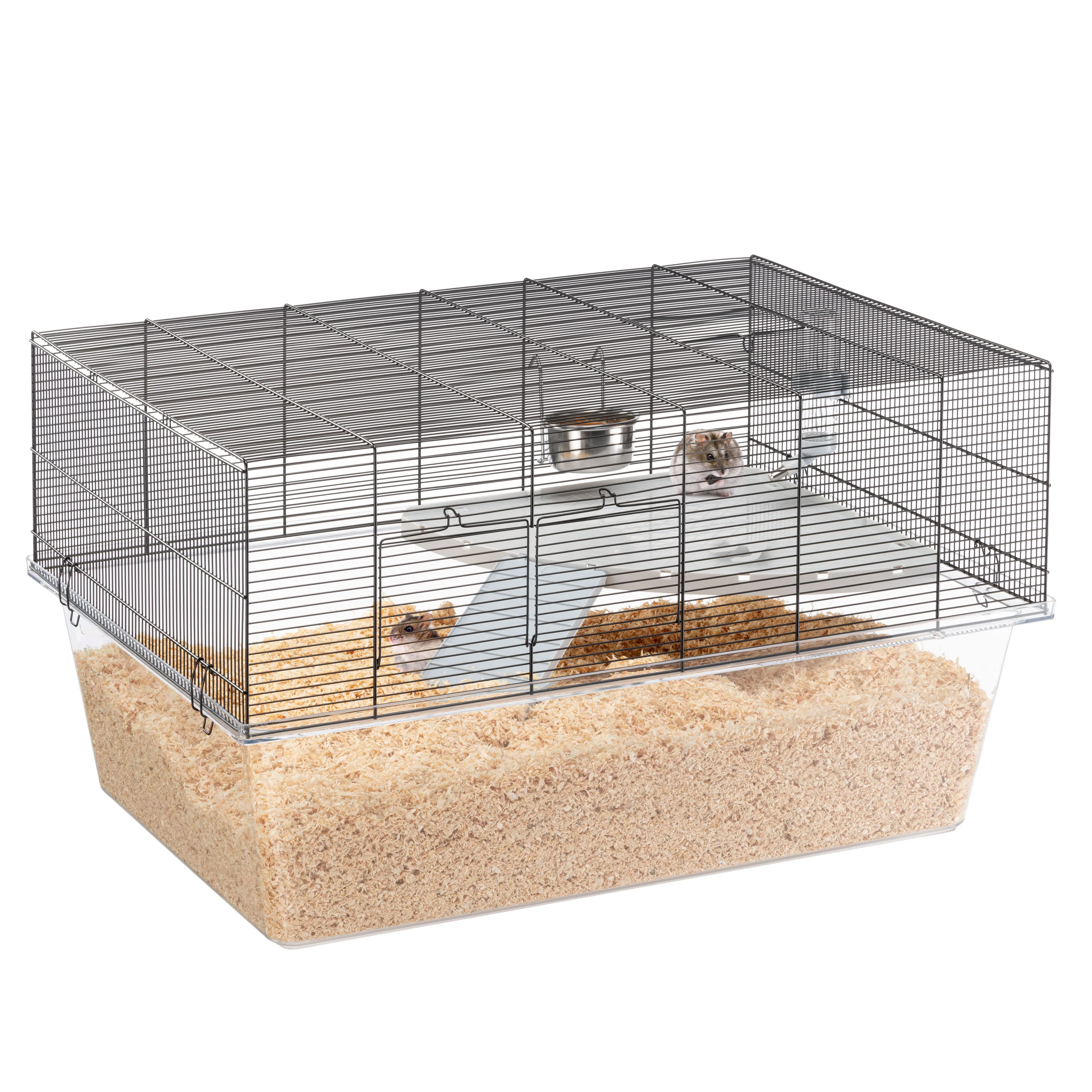 GLASSY 80 - Image 4