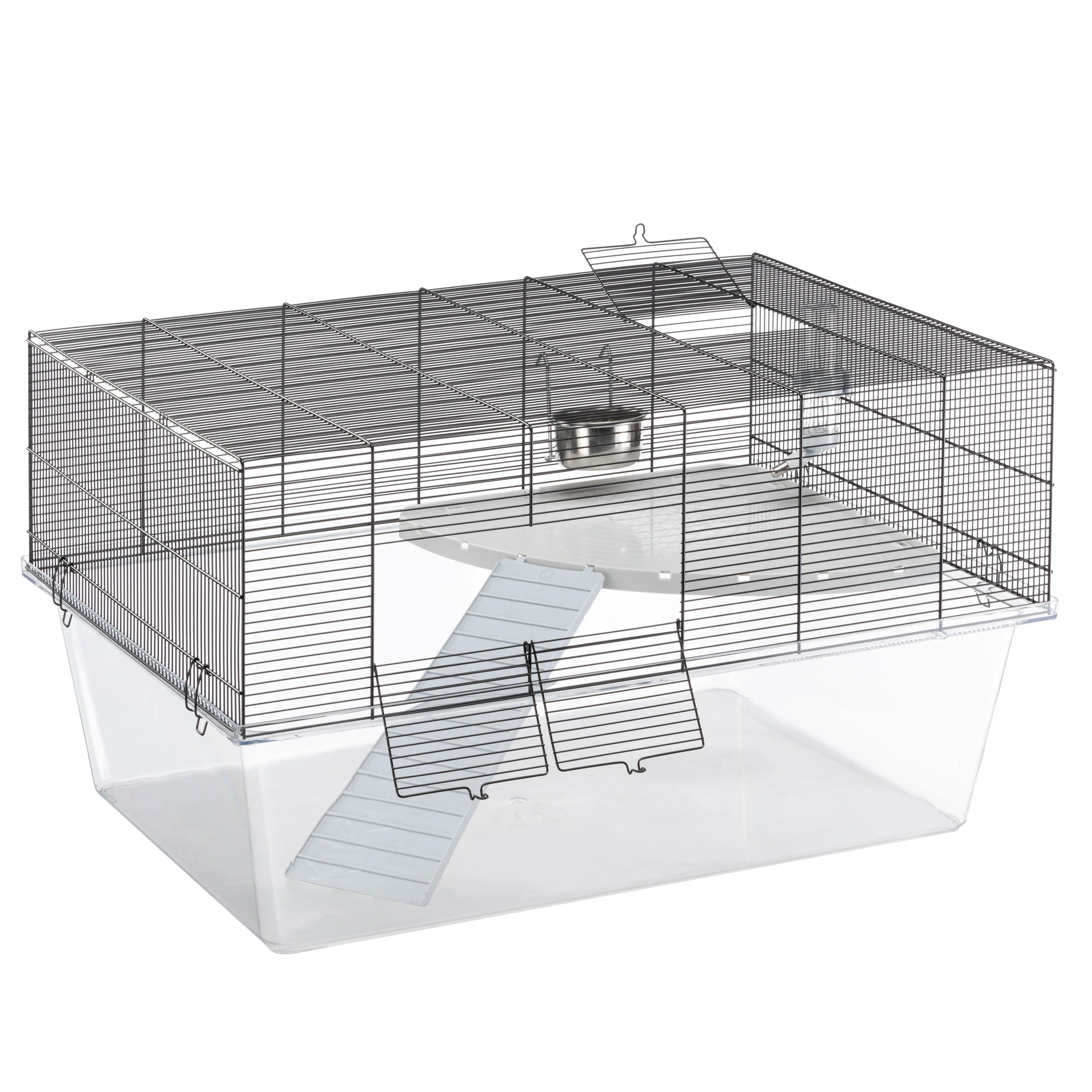 GLASSY 80 - Image 6
