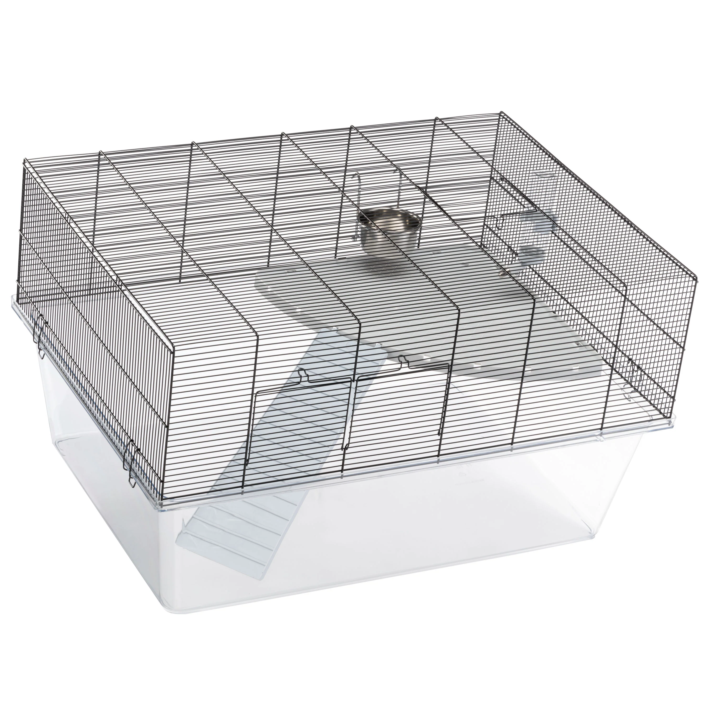 GLASSY 80 - Image 9