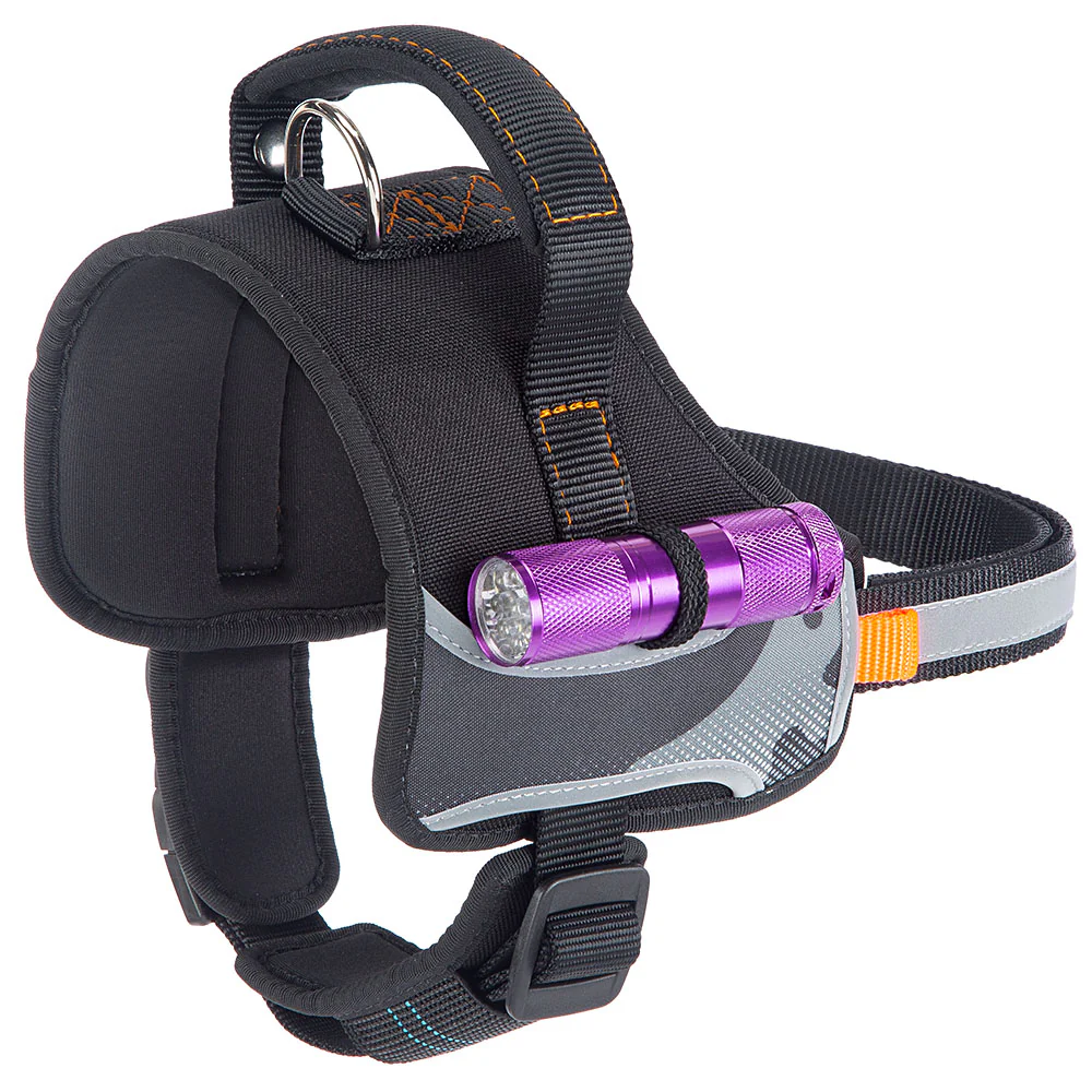 HERCULES P XS - Image 12