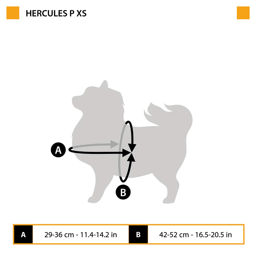 HERCULES P XS - Image 2