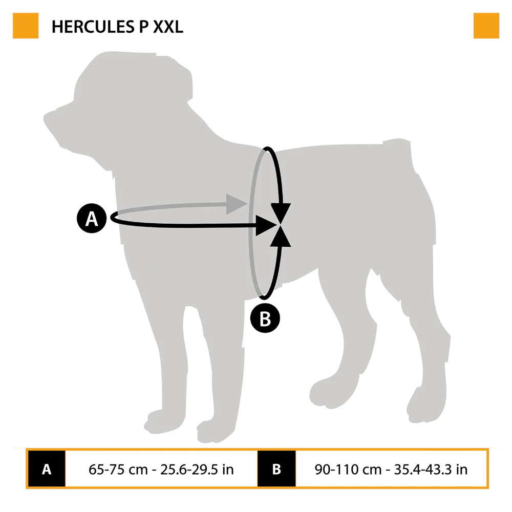 HERCULES P XXL - Image 2