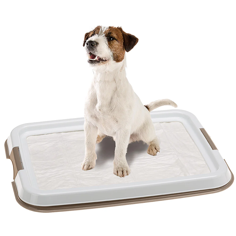 HYGIENIC PAD TRAY - Image 2