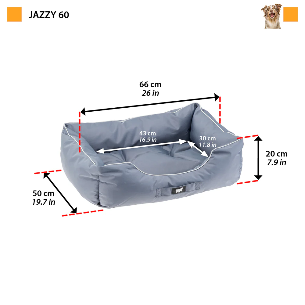 JAZZY - Image 14