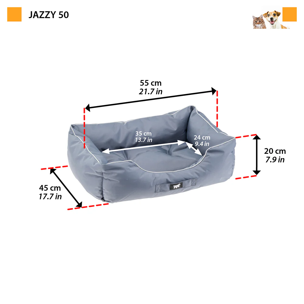 JAZZY - Image 2