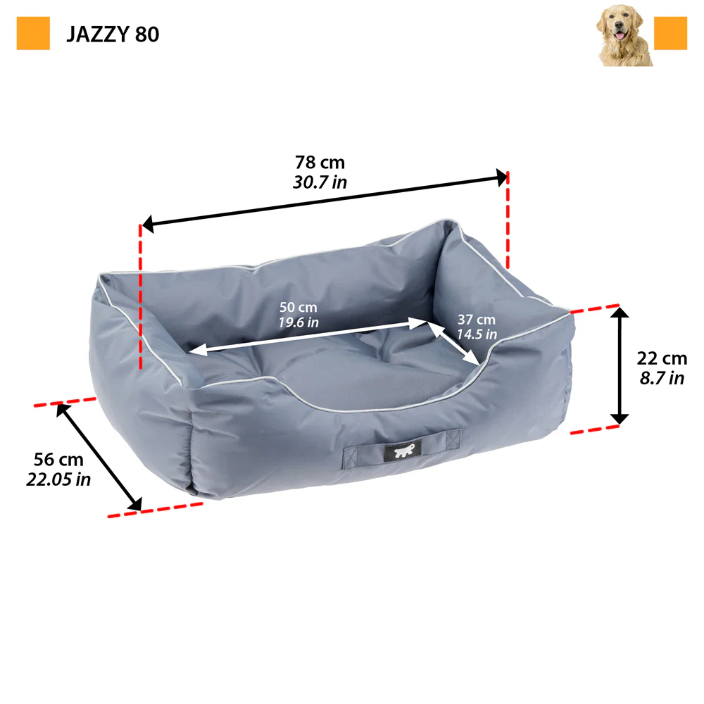 JAZZY - Image 21